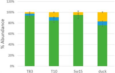 Glycosylation of H4 influenza strains with pandemic potential and susceptibilities to lung surfactant SP-D